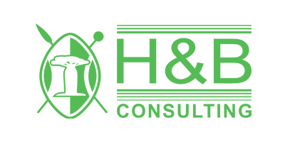 H&B Consulting